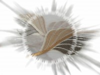 /album/fotogaleria-sluzby/a100-2053-jpg/