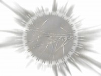 /album/fotogaleria-sluzby/a2051-jpg/