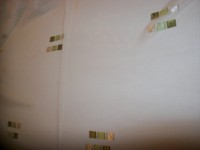 /album/fotogaleria-sluzby/a100-2070-jpg/