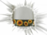 /album/fotogaleria-sluzby/utier1-jpg/